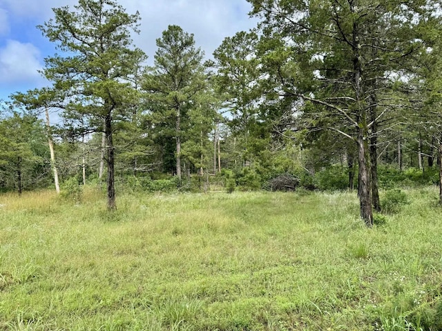400 Tree Farm Rd, Melbourne, AR 72556