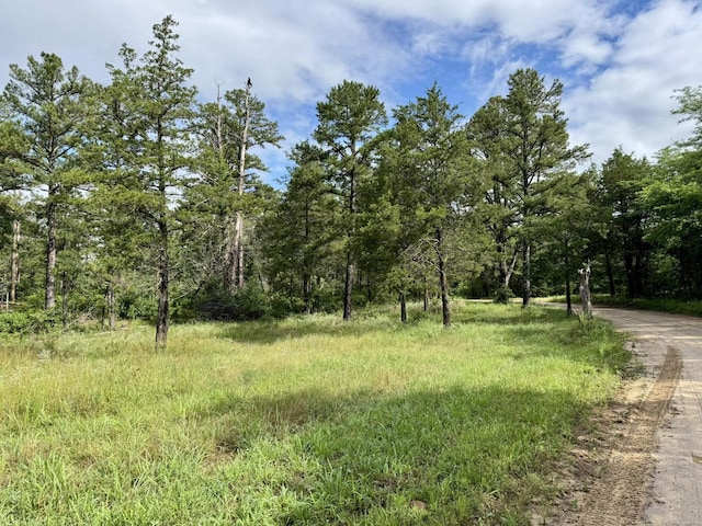400 Tree Farm Rd, Melbourne, AR 72556