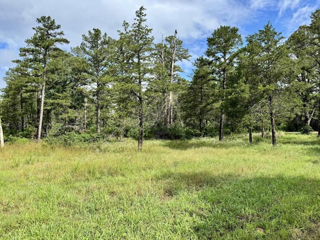 400 Tree Farm Rd, Melbourne, AR 72556