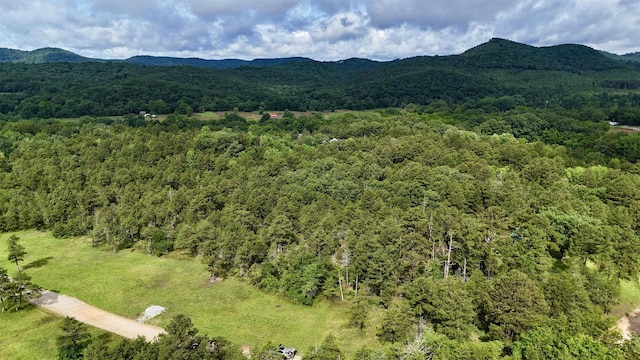 400 Tree Farm Rd, Melbourne, AR 72556
