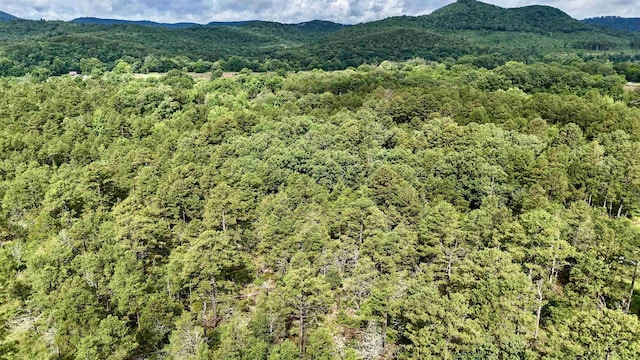 400 Tree Farm Rd, Melbourne, AR 72556