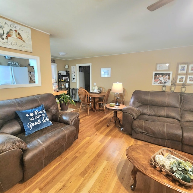 1407 W Front St, Heber Springs, AR 72543 - living room featuring light wood-type flooring, radiator, and crown molding