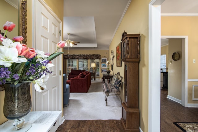 1315 Gleneagles Ct, Little Rock, AR 72211 - hallway with a tray ceiling, dark wood finished floors, and crown molding