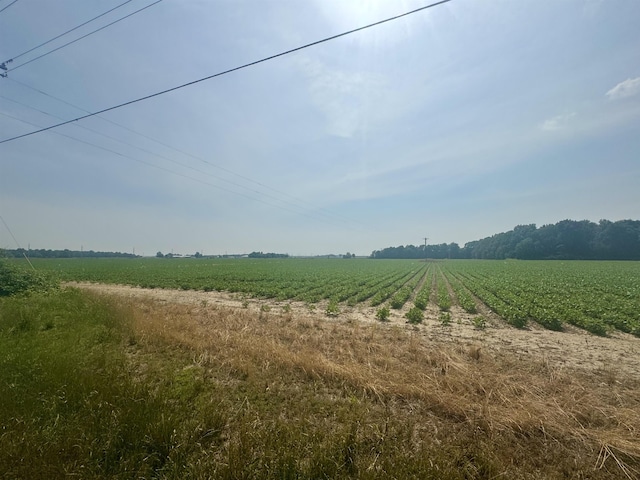 Heath Ln, Jonesboro, AR 72401