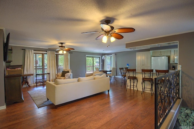 121 Atkinson Ln, Hot Springs, AR 71913 - living room with a textured ceiling, wood finished floors, a ceiling fan, and ornamental molding