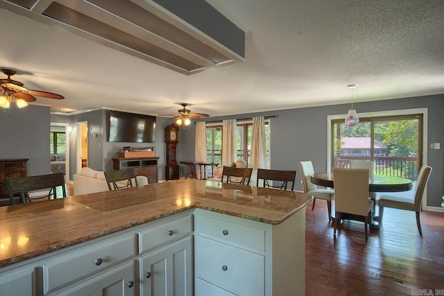 121 Atkinson Ln, Hot Springs, AR 71913 - kitchen with a ceiling fan, white cabinetry, dark wood-style flooring, hanging light fixtures, and a textured ceiling