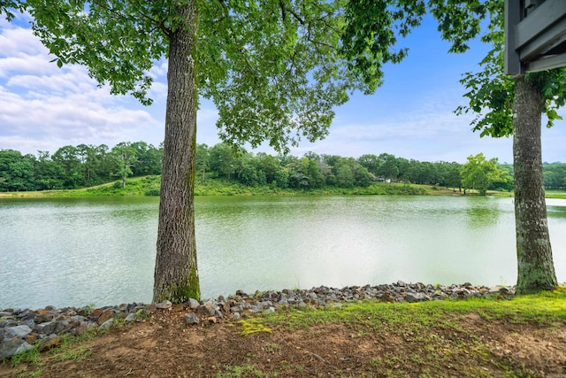 173-B Pebble Beach Pl, Hot Springs, AR 71913 - water view