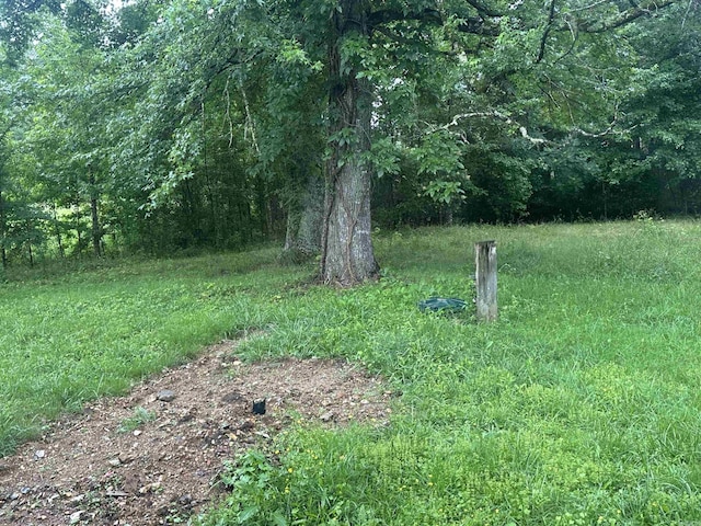 109 Randallwood Dr, Hot Springs Village, AR 71909 - view of yard with a view of trees