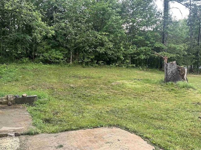109 Randallwood Dr, Hot Springs Village, AR 71909 - view of yard