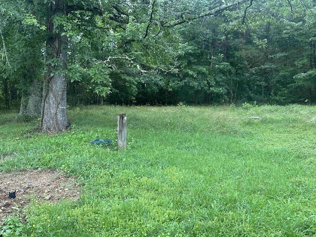 109 Randallwood Dr, Hot Springs Village, AR 71909 - view of yard with a wooded view