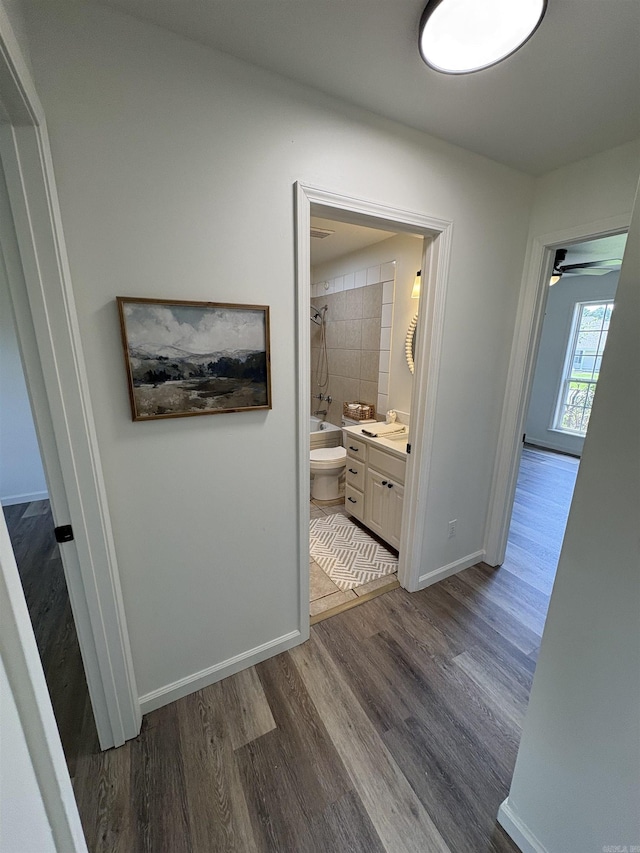 1901 N 19th St, Paragould, AR 72450 - hallway featuring wood finished floors