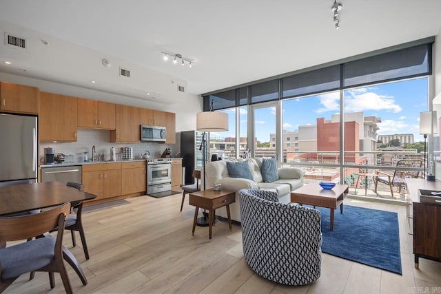 300 E Third St # 509, Little Rock, AR 72201 - living room featuring light wood-style floors, healthy amount of natural light, rail lighting, and expansive windows