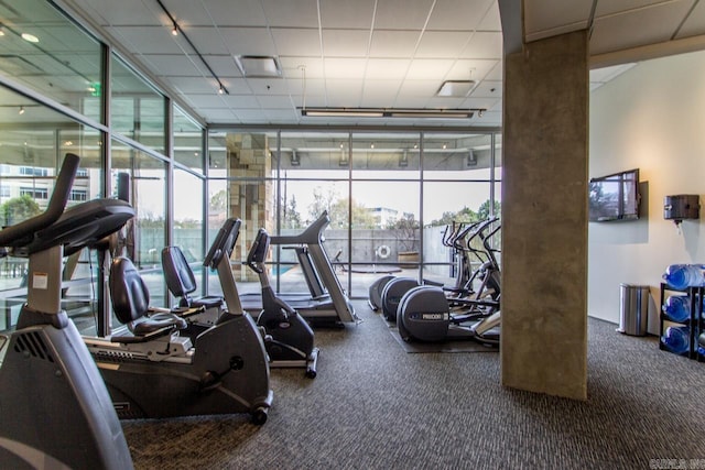 300 E Third St # 509, Little Rock, AR 72201 - exercise room featuring a wall of windows, plenty of natural light, and carpet