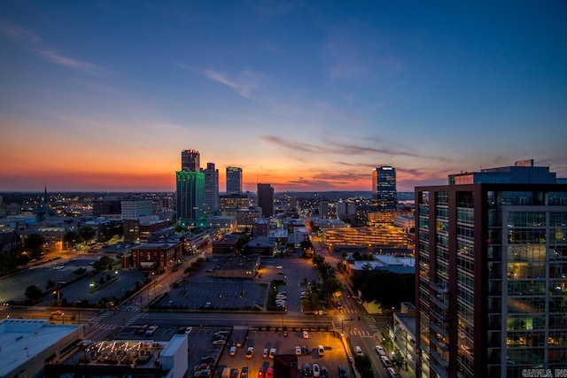 300 E Third St # 509, Little Rock, AR 72201 - view of city