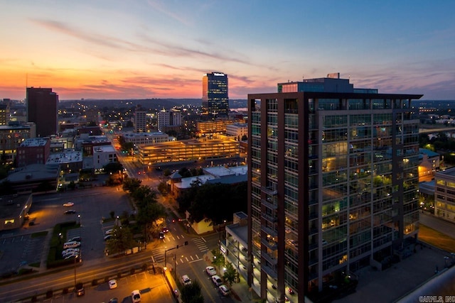 300 E Third St # 509, Little Rock, AR 72201 - view of city
