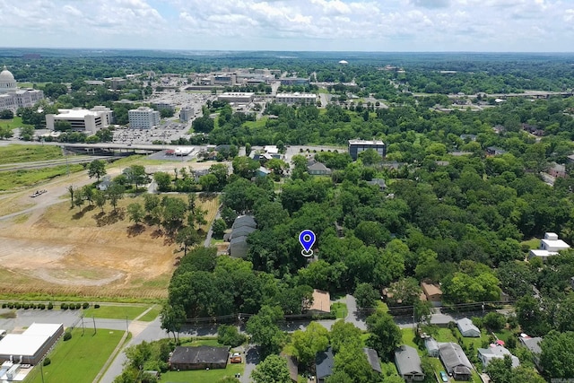 117 N Summit St, Little Rock, AR 72205 - drone / aerial view