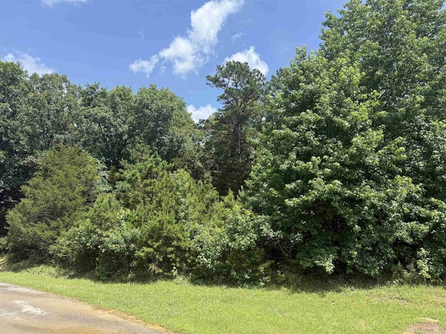 000 Deer Run Cv, Heber Springs, AR 72543