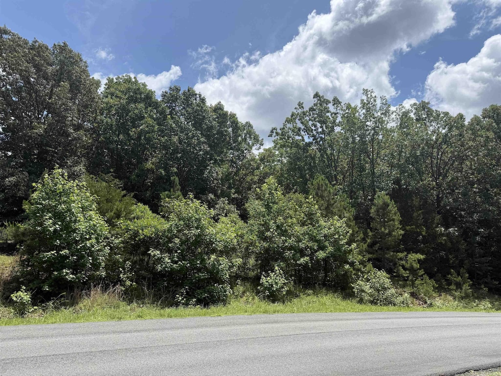 000 Deer Run Cv, Heber Springs, AR 72543