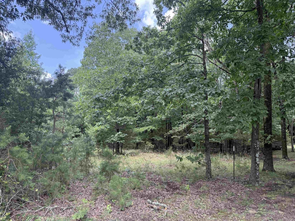000 Deer Run Cv, Heber Springs, AR 72543