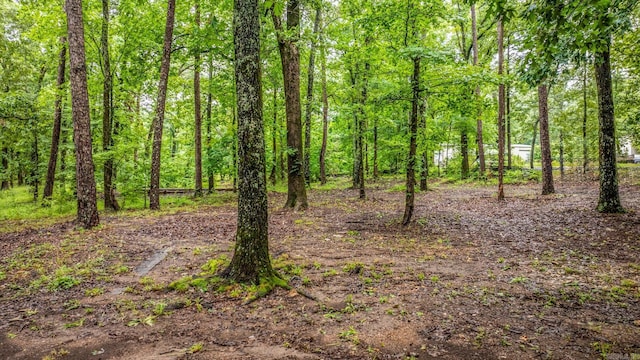 25501 Kanis Rd, Little Rock, AR 72223 - view of tree filled area