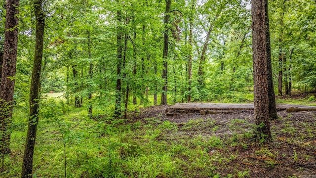 25501 Kanis Rd, Little Rock, AR 72223 - view of tree filled area