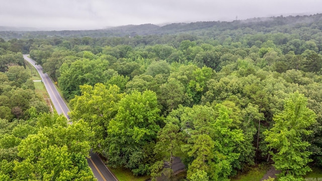 25501 Kanis Rd, Little Rock, AR 72223 - bird's eye view of a forest