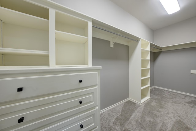 spacious closet featuring carpet flooring