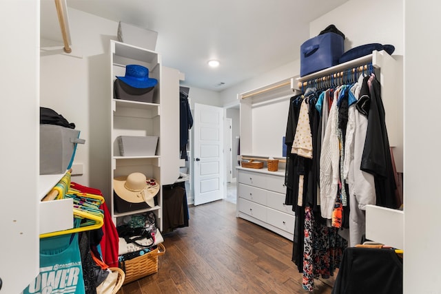 526 NW 62nd Ave, Bentonville, AR 72713 - spacious closet with dark wood finished floors