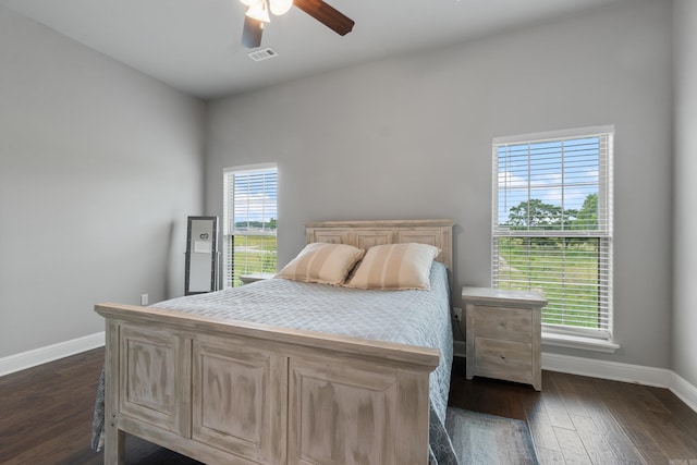 526 NW 62nd Ave, Bentonville, AR 72713 - bedroom with multiple windows, dark wood finished floors, and ceiling fan