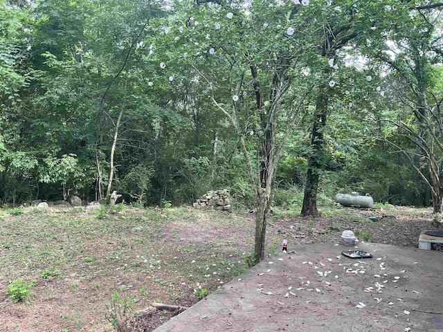 39 Holley Rd, Edgemont, AR 72044 - view of yard featuring a patio area and a view of trees