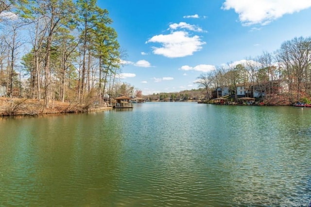 10 Abaron Pl, Hot Springs Village, AR 71909 - water view