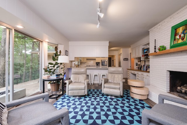20 Robinwood Rd, Little Rock, AR 72227 - living area featuring dark wood-style flooring, a fireplace, and track lighting