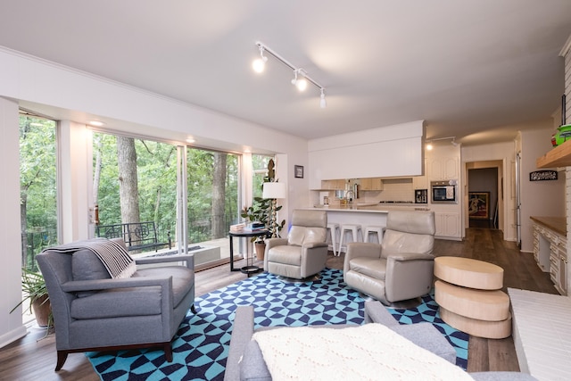20 Robinwood Rd, Little Rock, AR 72227 - living area with wood finished floors and track lighting