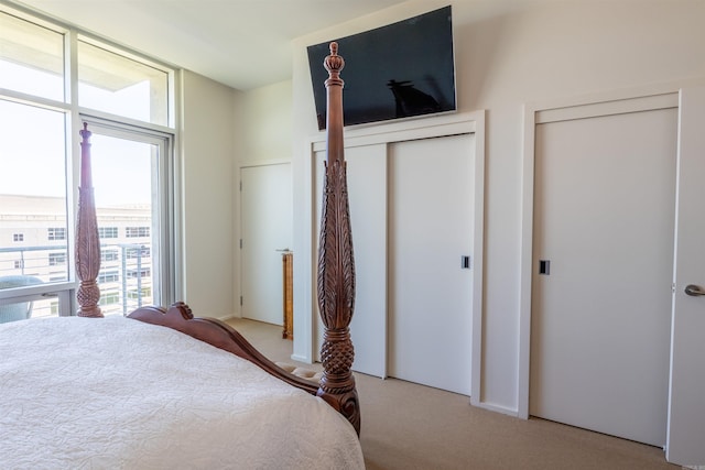 300 E 3rd St Unit 602, Little Rock, AR 72201 - bedroom featuring carpet floors and multiple windows