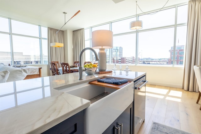 300 E 3rd St Unit 602, Little Rock, AR 72201 - kitchen featuring dark cabinets, a city view, light wood-style flooring, and pendant lighting