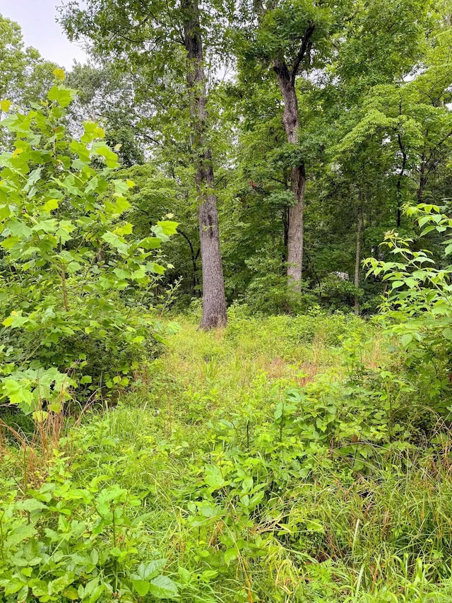 14848 Wild Honey Dr, Garfield, AR 72732