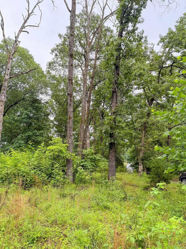 14848 Wild Honey Dr, Garfield, AR 72732