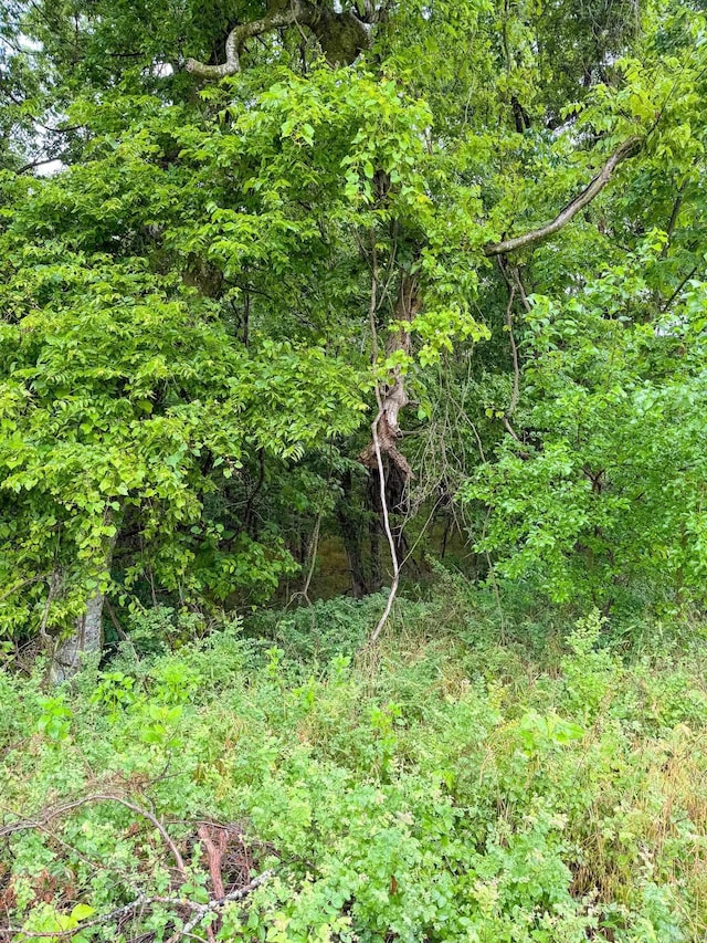 14848 Wild Honey Dr, Garfield, AR 72732