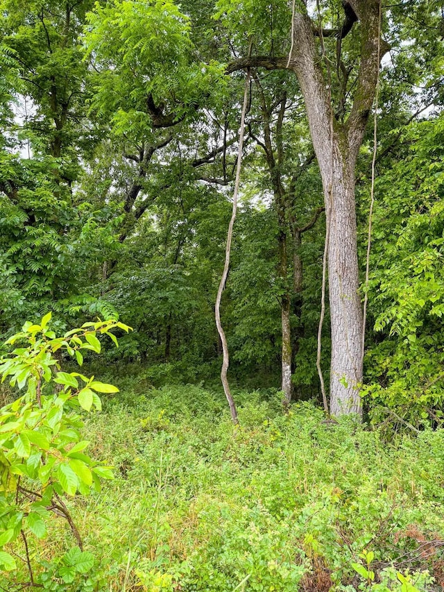 14848 Wild Honey Dr, Garfield, AR 72732