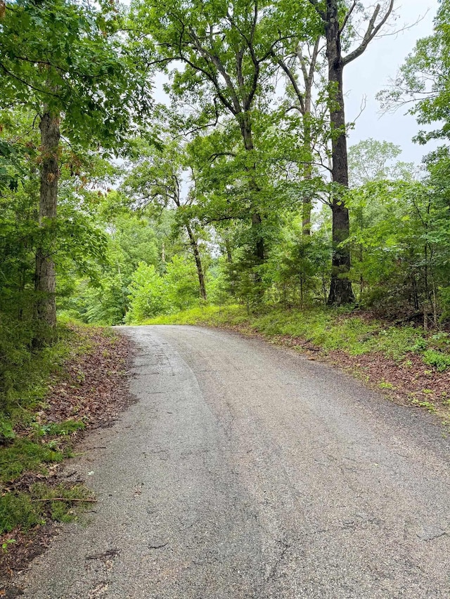 14848 Wild Honey Dr, Garfield, AR 72732