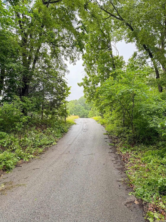 14848 Wild Honey Dr, Garfield, AR 72732