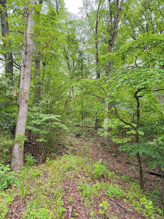 14848 Wild Honey Dr, Garfield, AR 72732