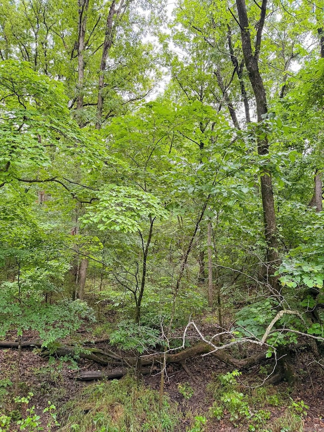 14848 Wild Honey Dr, Garfield, AR 72732