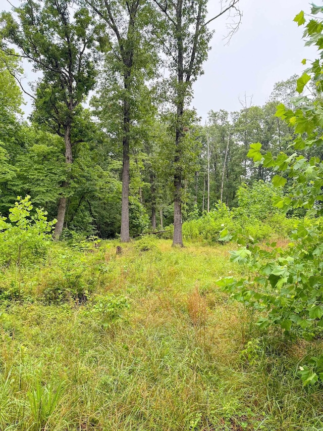 14848 Wild Honey Dr, Garfield, AR 72732
