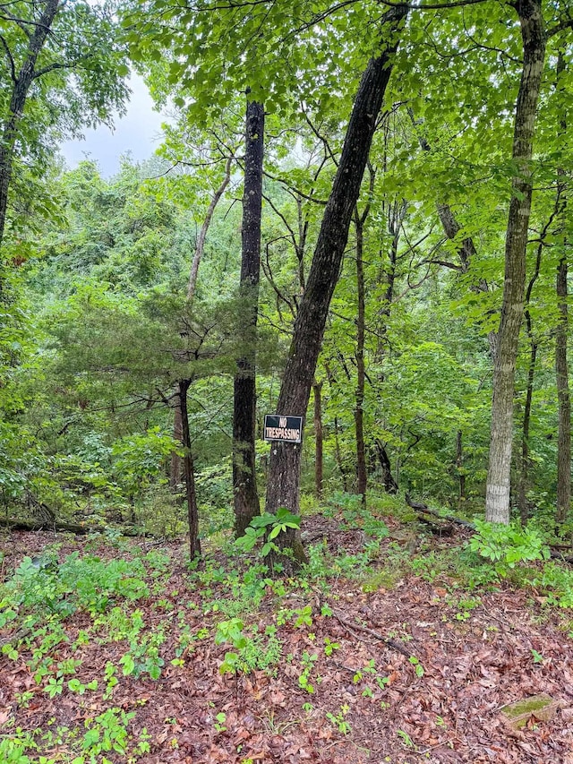 14848 Wild Honey Dr, Garfield, AR 72732