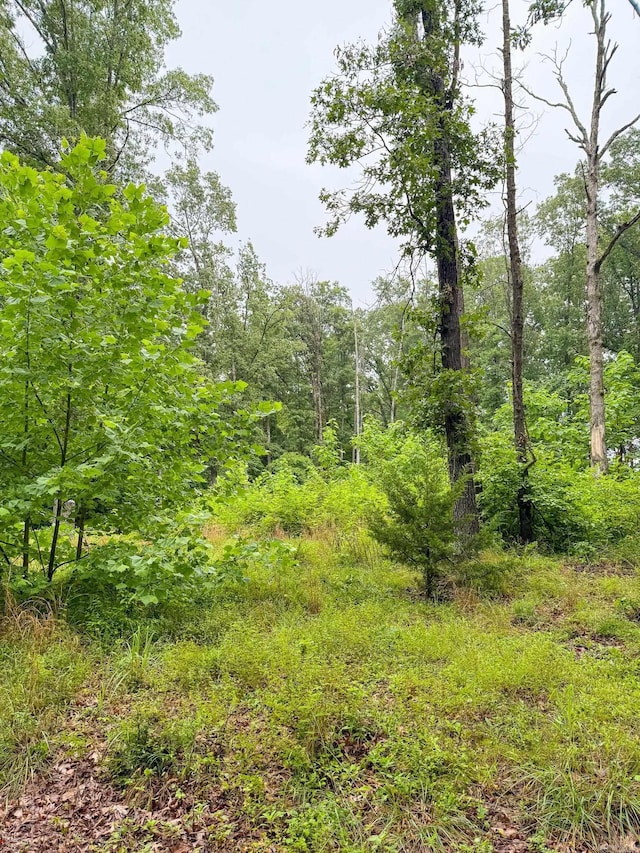14848 Wild Honey Dr, Garfield, AR 72732