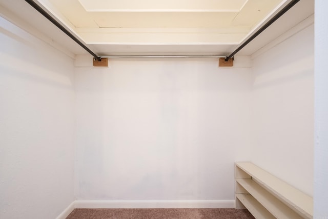 304 Dogwood Dr, Benton, AR 72019 - walk in closet featuring carpet flooring