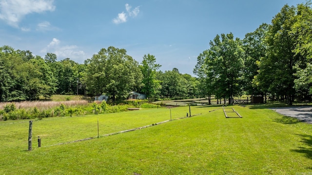 424 Center Rdg, Drasco, AR 72543 - view of grassy yard