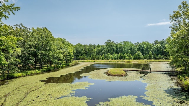 424 Center Rdg, Drasco, AR 72543 - water view with a forest