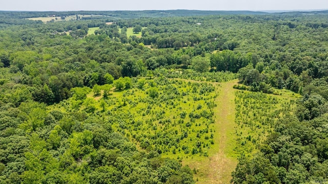 424 Center Rdg, Drasco, AR 72543 - bird's eye view of a forest